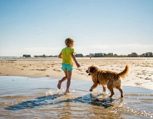 Familien & Hunde willkommen Ein Kind läuft fröhlich mit einem Hund am Strand entlang.