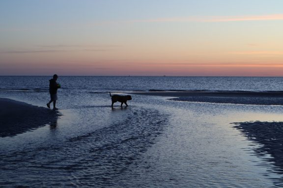 Urlaub mit Hund in St. Peter-Ording am Abend Person mit Hund am Strand von St. Peter-Ording während der Abenddämmerung an der Nordsee.