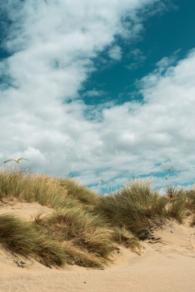 Zwischen Strand & Dünen Sanddünen mit Gras unter einem bewölkten Himmel.